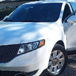 Meet your Posher, Luis